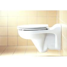 -   Duravit Duraplus 006681  .